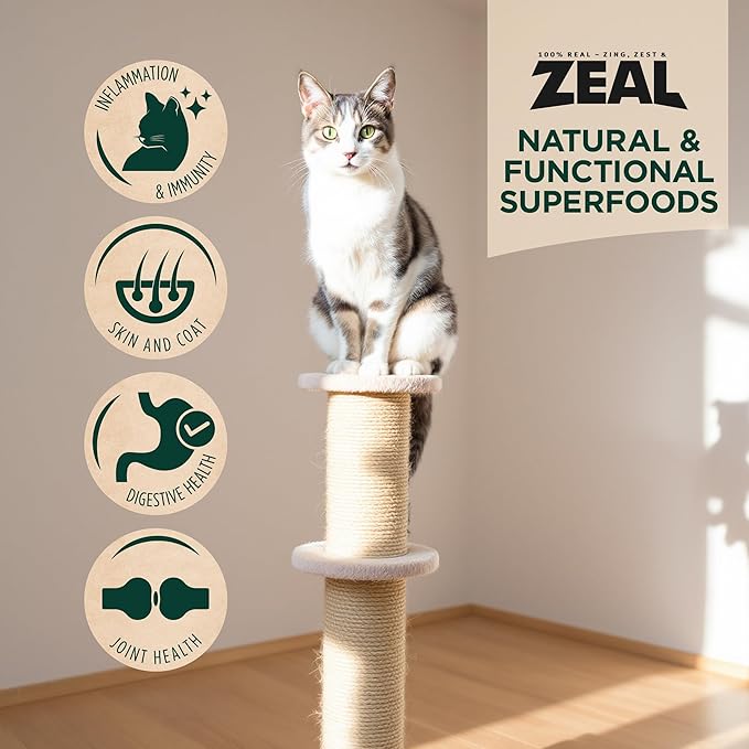 ZEAL Canada Air-Dried Cat Food Chicken Recipe - High Protein, Natural Superfoods, Nutrient Rich, No Fillers, Grain Free, Complete & Balanced (Chicken, 5 oz)