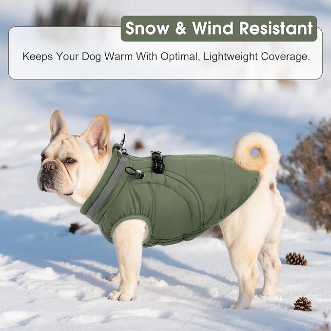 SAWMONG Dog Coat, Warm Dog Winter Coat, Waterproof Fleece Jacket, Cold Weather Dogs Jacket (S,Green)