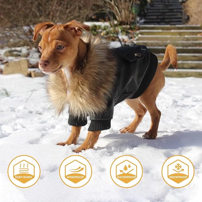 PETLESO Dog Coat for Small Dogs, Dog Leather Jacket Waterproof Windproof, Double Layer Warm Dog Winter Coat with Plush Lined, Black XXL