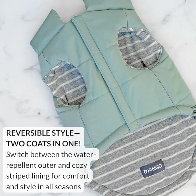 DJANGO Puffer Dog Coat – Warm Winter Dog Jacket & Water-Repellent Insulated Puffer Vest with Striped Lining, Harness Hole, Adjustable Fit for Small & Medium Dogs, Dachshunds – Sea Foam Green, X-Small