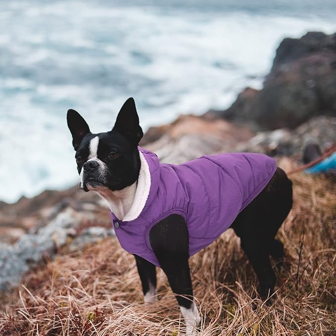 Fleece Hoodie, Windproof Waterproof Dog Coat, Winter Warm Jacket, Cold Weather Pet Apparel Clothes Vest for Small Medium Large Dogs (2XL, Purple)