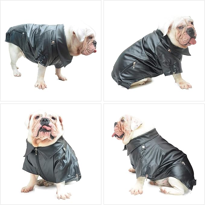 Lovelonglong Cool Dog Leather Jacket, Warm Coats Dogs Windproof Cold Weather Coats for Pugs Bulldog Pitbull Black B-S