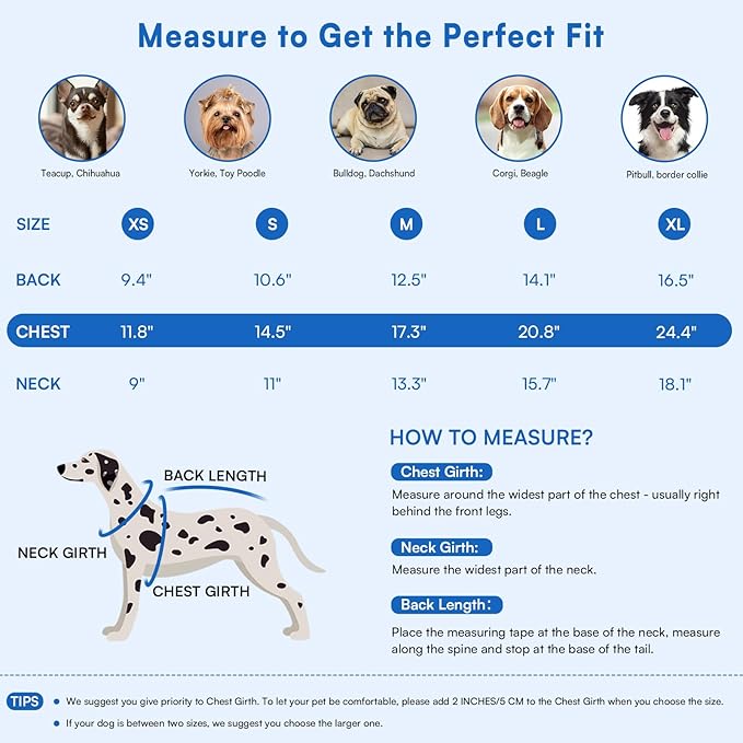 Queenmore Pullover Large Dog Sweater,Classic Turtleneck Warm Dogs Sweater with Leash Hole for Dog Girls Boys,Winter Knitwear Clothes for Dachshund,Corgi,French Bulldog(Royal Blue,L)