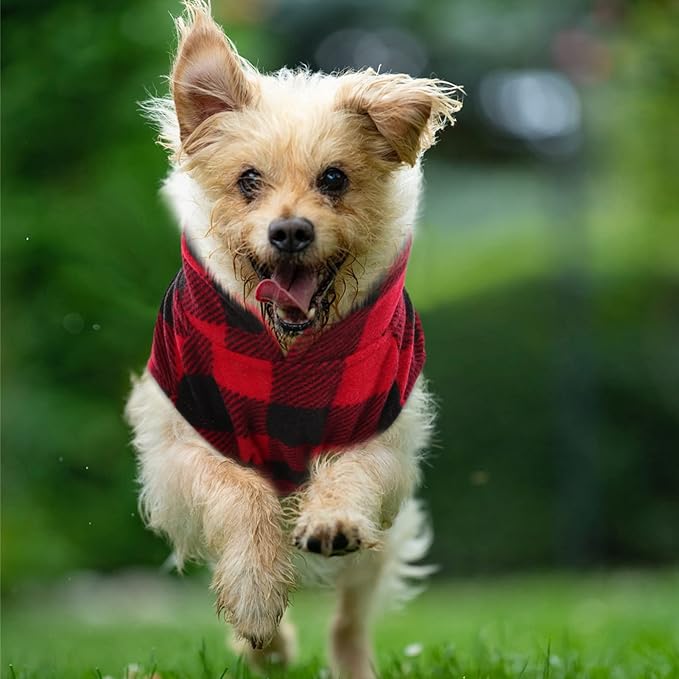 KAMA BRIDAL Spring Autumn Winter Coat Pullover Fleece Vest for Cats Small and Medium Dogs Thin Sweater Red & Black Plaid (Red, XS)