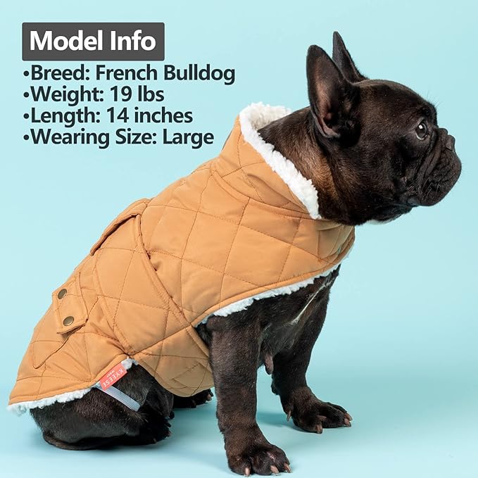 KYEESE Dog Coat Windproof Dog Coats for Small Dogs Soft Pet Sweater for Cold Weather Waterproof Dogs Jacket with Fleece Lined Thick Cat Clothes with Pocket Warm Pet Winter Puffer Coat with Leash Hole