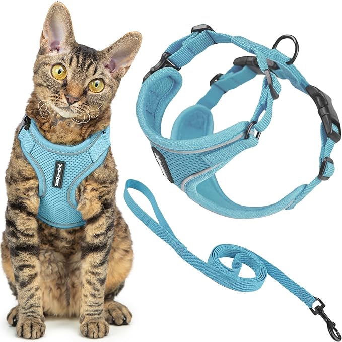 Voyager Escape Proof Cat Harness and Leash Set with Reflective Stitching, Neoprene Handle 5ft - Supports Small, Medium and Large Cats, Kittens for Walking by Best Pet Supplies - Baby Blue, XXXS