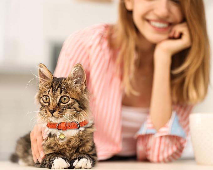 3 Pack Leather Cat Collars with Bells Soft Pet Safety Collar Kitten Collars with Bell Orange Yellow Mint Green(XS)