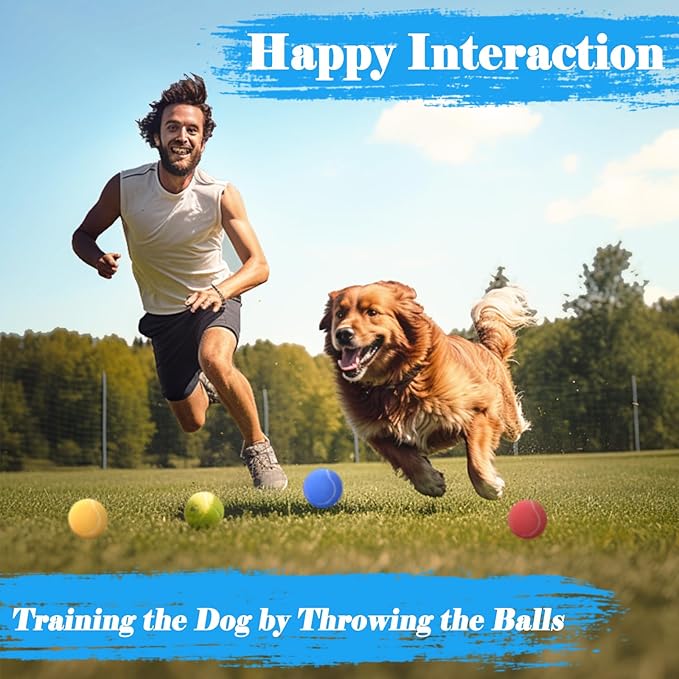 30 Pcs Tennis Balls for Dogs 2.5 Inch Pet Playing Ball Mini Training Dog Balls High Elasticity Practice Puppy Ball for Large Dog, Medium Small Dogs, 15 Colors