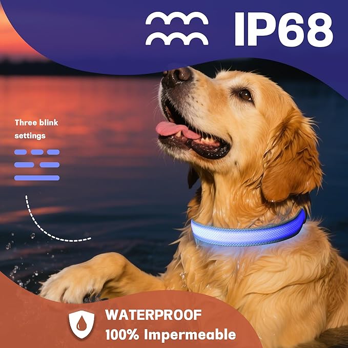 DOGWONG LED Dog Collar - Heavy Duty Light up Collars - Rechargeable Waterproof - Lighted Dog Collar for Night Walking, Hiking, Camping(Blue,S)
