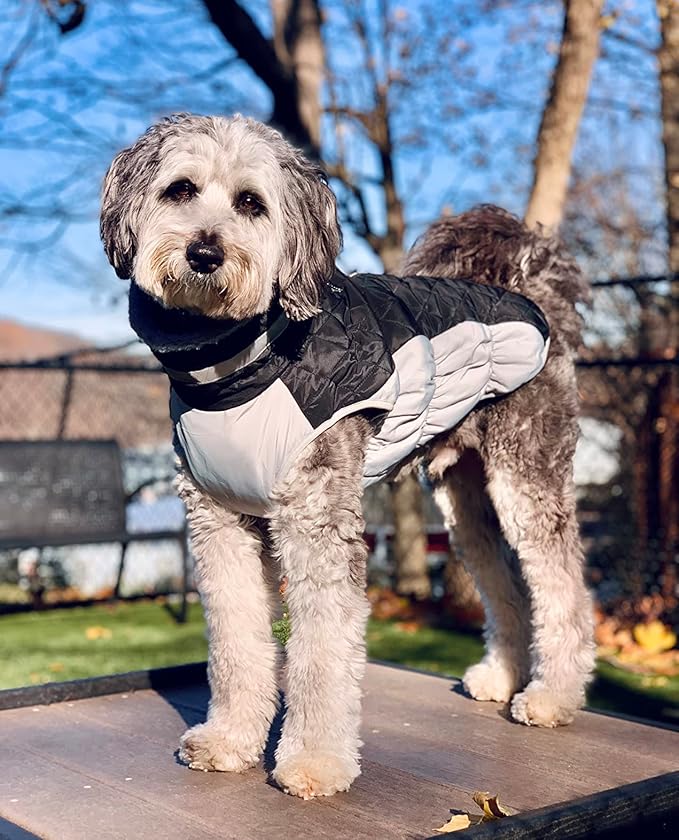 Lelepet Dog Coat Warm Dog Winter Coat Waterproof Dogs Jacket with Harness Built in Reflective Pet Fleece Vest Zip-Up Cold Weather Coats for Large Dogs Turtleneck & Windproof Coats Boxer Black XL