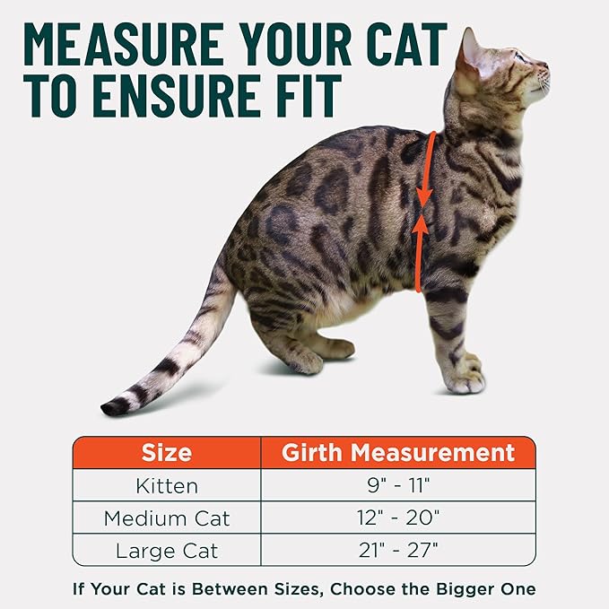 Houdini™ Escape Proof Cat Harness and Leash Set by OutdoorBengal – Red, Medium Cat Harness for Walking