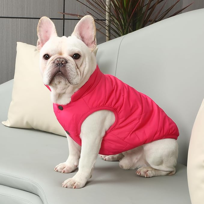 2 Layers Fleece Lined Warm Dog Jacket for Winter Cold Weather,Soft Windproof Medium Dog Coat,Pink XL