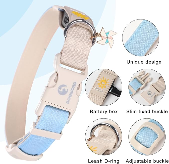 DOGWONG LED Dog Collar - Heavy Duty Light up Collars - Rechargeable Waterproof - Lighted Dog Collar for Night Walking, Hiking, Camping(Blue,M)