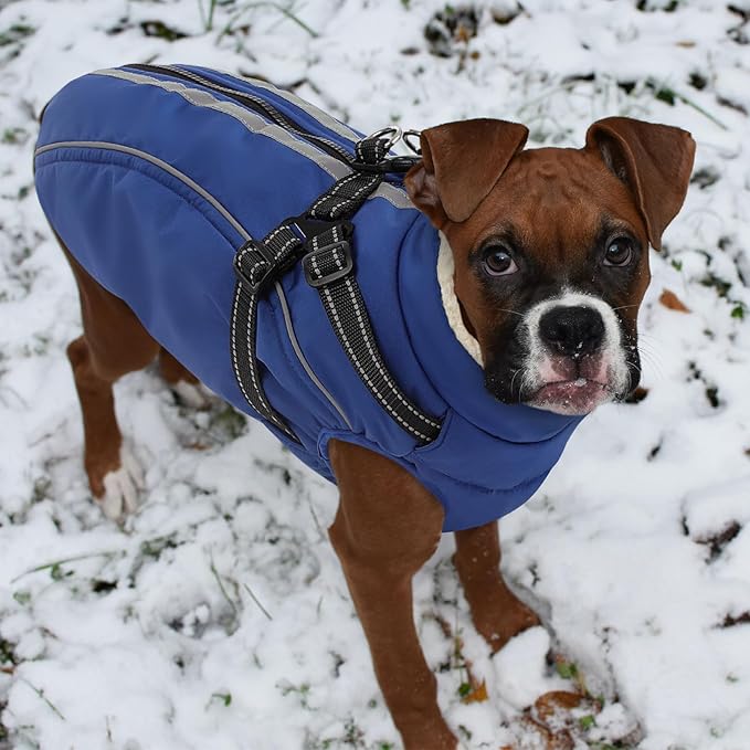 Dog Winter Coat with Harness Built in Warm Puffer Dog Jackets for Small Medium Large Dogs Windproof Waterproof Outfit with Plush Lining and Reflective Stripes (Blue, S)