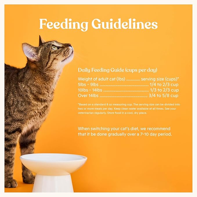 Made by Nacho Dry Cat Kibble 4lb Bag, High Protein and Grain-Friendly Premium Cat Food, Sustainably Caught Salmon and Pumpkin, Infused with Bone Broth for Hydration, Limited Ingredients, Single Bag