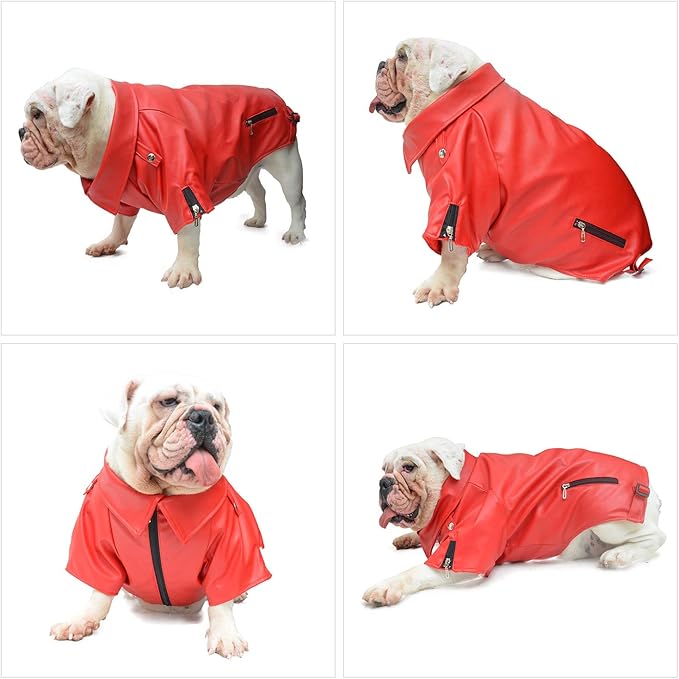 Lovelonglong Cool Dog Leather Jacket, Warm Coats Dogs Windproof Cold Weather Coats for Pugs Bulldog Pitbull Red B-M