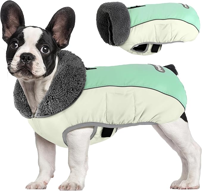 Dog Coat, Waterproof Dog Winter Jacket with Leash Hole, Reflective Adjustable Pet Fleece Sweater, Warm Snow Vest for Small Medium Large Dogs - Candy Green, 3XL