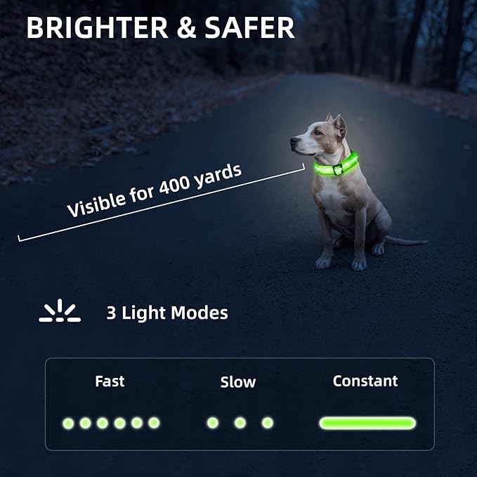 Super Bright LED Dog Collar - Fully Waterproof & Adjustable Glow Collar - USB-C Rechargeable for Night Walking, Safety - Flashing Lighted Collar for Dogs(Green,Medium)