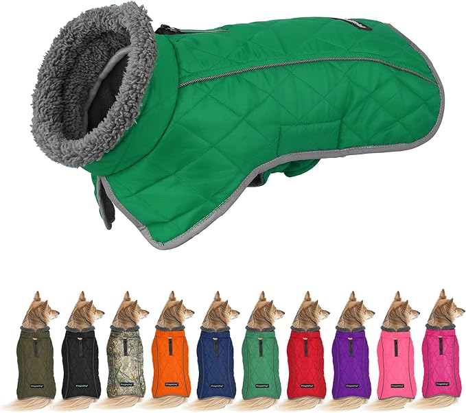 Fragralley Dog Coat Small, Waterproof Dog Jacket with Warm Fleece Lining, Adjustable Reflective Dogs Winter Coat, Turtleneck Pet Coats for Cold Weather (Green S)