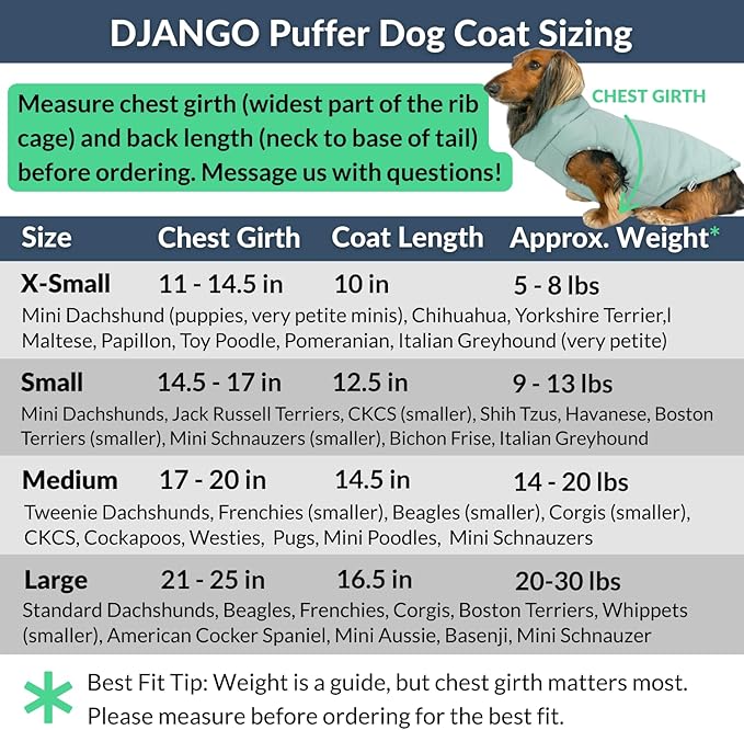 DJANGO Puffer Dog Coat – Warm Winter Dog Jacket & Water-Repellent Insulated Puffer Vest with Striped Lining, Harness Hole, Adjustable Fit for Small & Medium Dogs, Dachshunds – Sea Foam Green, Medium