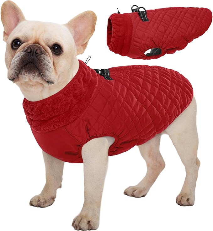 Kuoser Small Dog Jacket | Fleece-Lined Cold Weather Gear for Yorkies Chihuahua | Reflective Edges Guard Mini Breeds on Night Walks, Quick-Dry Fabric, Red S