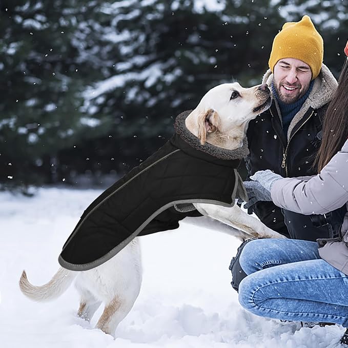 Fragralley Dog Coat Medium, Waterproof Dog Jacket with Warm Fleece Lining, Adjustable Reflective Dogs Winter Coat, Turtleneck Pet Coats for Cold Weather (Black M)