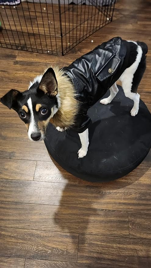 PETLESO Dog Coat for Small Dogs, Dog Leather Jacket Waterproof Windproof, Double Layer Warm Dog Winter Coat with Plush Lined, Black XL