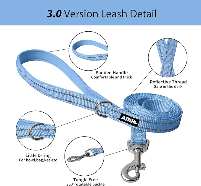 AIITLE Step in Dog Harness and Leash Set - Summer No Pull Escape Proof Vest Harnesses with Soft Mesh and Reflective Bands, Adjustable Pet Outdoor Harnesses for Small and Medium Dogs Pure Blue M