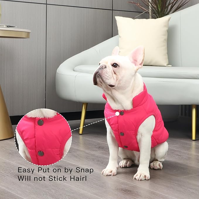 2 Layers Fleece Lined Warm Dog Jacket for Winter Cold Weather,Soft Windproof Medium Dog Coat,Pink XL