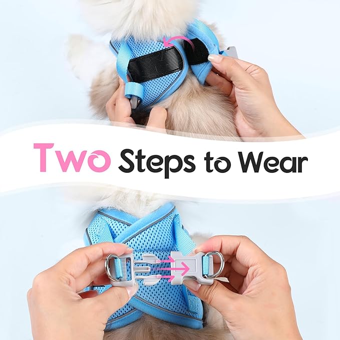 Dooradar Cat Harness and Leash Set, Escape Proof Lightweight Kitten Harness, Soft Breathable Reflective Vest for Outdoor Walking Traveling, Adjustable for Medium Cats, Pink & Blue, M