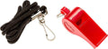 BLARIX Guard Pea Whistle and Lanyard