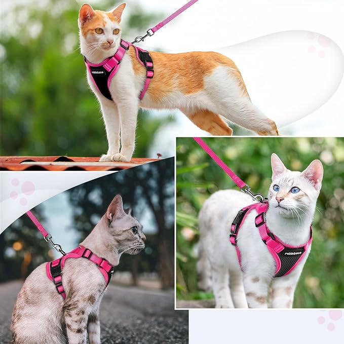 rabbitgoo Cat Harness and Leash Set, Escape Proof Soft Adjustable Vest Harnesses for Outdoor Walking, Easy Control Breathable Kitten Jacket with Reflective Strips, Black & Rose Pink, XS