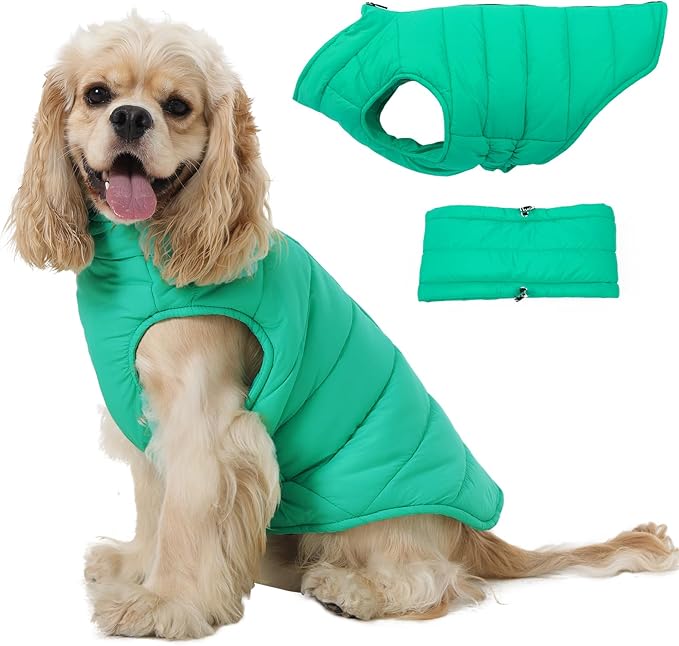 Medium Dog Jacket with Zipper, Dog Winter Coats for Medium Dogs, Warm Waterproof Snow Puffer Vest for French Bulldog, Boston Terrier, Cocker, Beagle, Green M
