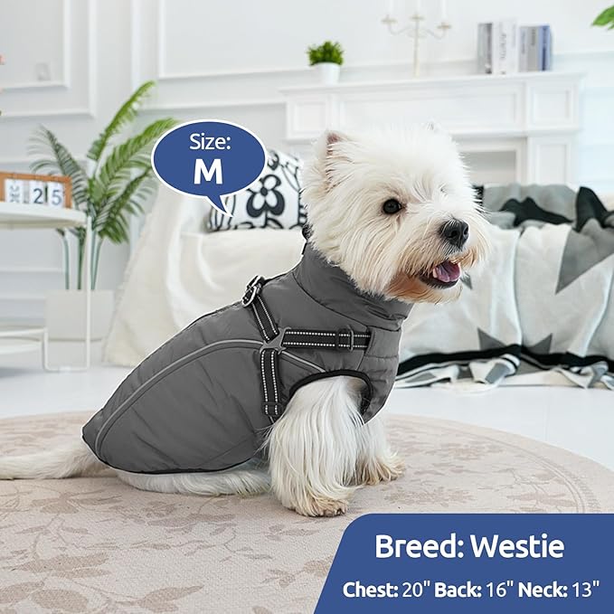 Dog Winter Coat with Harness Built in Warm Puffer Dog Jackets for Small Medium Large Dogs Windproof Waterproof Outfit with Plush Lining and Reflective Stripes (Blue, XS)