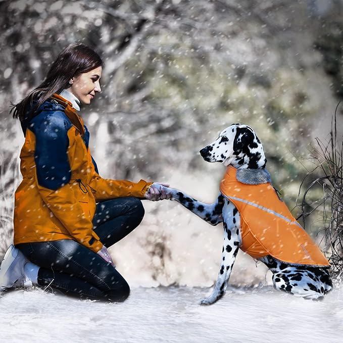 VIVAGLORY Snowrap Dog Coat, Jacket with Harness Hole & Velcro Closure, Dog Coat for Winter & Cold Weather, Fluffy Warm Fleece Lined Reflective Water Resistant for Puppy, M, Orange
