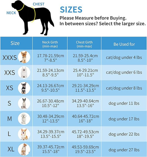 AIITLE Small Harness for Puppy with A Leash - Summer Dog Vest Harness with Super Breathable Mesh, Reflective No-Pull Pet Harness for Outdoor Walking, Camping for Small Dogs, Cats Royal Blue XXS