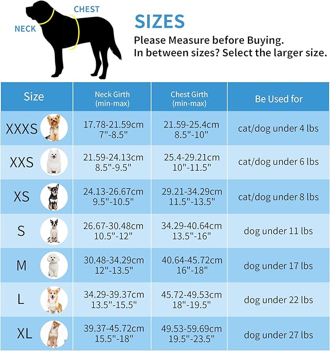 AIITLE Dog Harness, Summer No-Pull Cat Harness with a Leash, Adjustable Reflective Dog Vest, Cat Harness Escape Proof, Outdoor Walking, Camping for Extra Small Dogs and House Cats Pure Turquoise XXXS