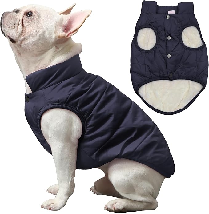 2 Layers Fleece Lined Warm Dog Jacket for Winter Cold Weather,Soft Windproof Large Dog Coat,Blue XXL