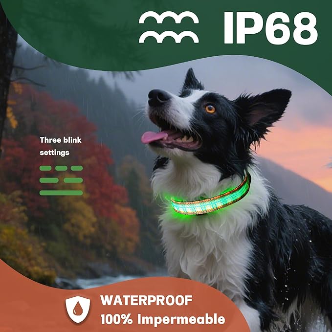 DOGWONG LED Dog Collar - Fall Orange Plaid Heavy Duty Light up Dog Collars - Rechargeable Waterproof - Lighted Dog Collars for Night Walking, Hiking, Camping(Orange Plaid,M)