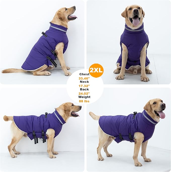 Medium Dog Coat with Harness Built-in, Waterproof Reflective Fleece Lined - Warm Windproof Winter Jacket with Back Zipper, Cold Weather Snow Dog Coats - Purple - M