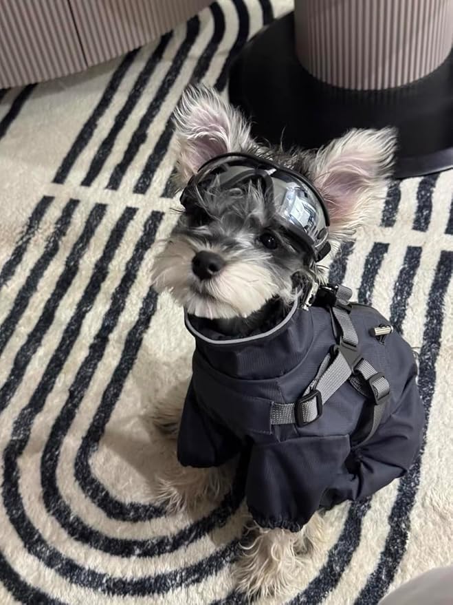 Mile High Life Waterproof Dog Raincoat, Full Coverage Small Dog Rain Coat with Harness, Adjustable 4 Legs Puppy Rain Jacket with Reflective Strip and Elastic Cuffs (Gray, S Back Length 13")