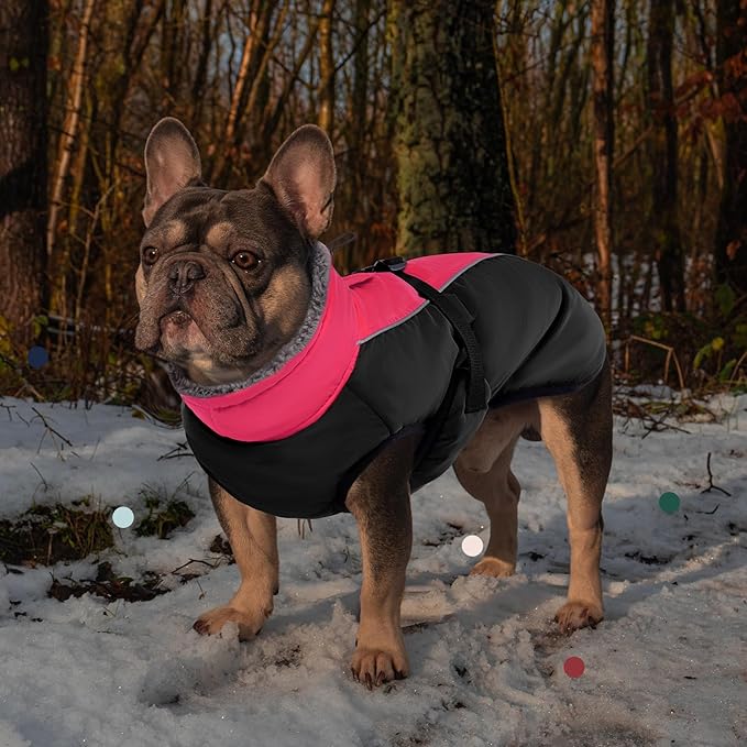 IECOii Extra Warm Reflective Adjustable Dog Jacket - Winter Coat with Buckle & Fleece Turtleneck for Cold Weather - Soft Winter Coat for Small, Medium & Large Dogs