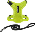 Voyager Step-in Lock Adjustable Cat Harness w. Cat Leash Combo Set with Neoprene Handle 5ft - Supports Small, Medium and Large Breed Cats by Best Pet Supplies - Lime Green, XXXS