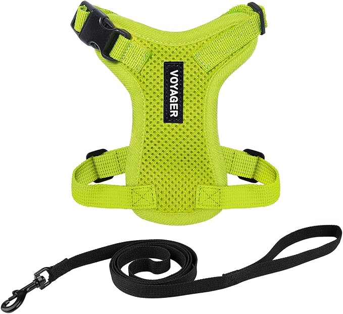 Voyager Step-in Lock Adjustable Cat Harness w. Cat Leash Combo Set with Neoprene Handle 5ft - Supports Small, Medium and Large Breed Cats by Best Pet Supplies - Lime Green, XXXS