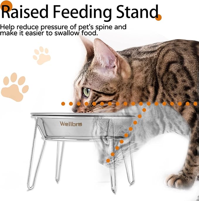 Cat Food Bowls, 4 Pcs Stainless Steel Cats Food and Water Whisker Fatigue Shallow Dishes, Small Dog Puppies Fat Faced Cat Kitten Supplies (4 Pack Raised Bowls)