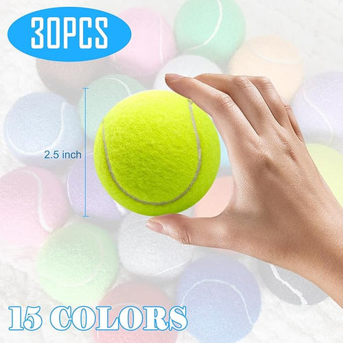 30 Pcs Tennis Balls for Dogs 2.5 Inch Pet Playing Ball Mini Training Dog Balls High Elasticity Practice Puppy Ball for Large Dog, Medium Small Dogs, 15 Colors