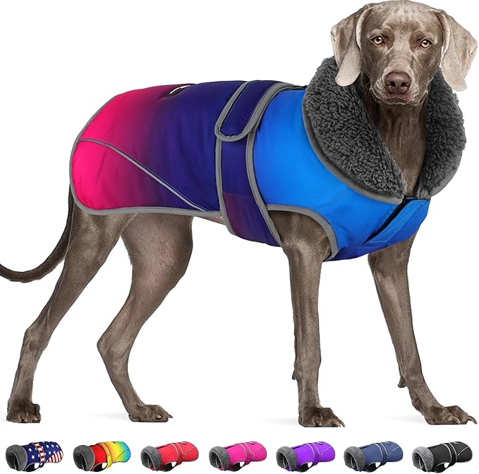 Dogcheer Dog Coat, Waterproof Dog Jacket Reflective Pet Winter Coat with Adjustable Hook & Loop, Christmas Puppy Fleece Jacket Warm Snowsuit for Small Medium Large Dogs - Gradient Blue-red, S