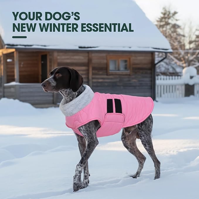 Kuoser Dog Jacket, Warm Dog Coats for Small Dogs, Doggie Winter Jacket Cold Weather Coats with Leash Hole, Winter Coat Apparel for Yorkie Chihuahua, Pink XS