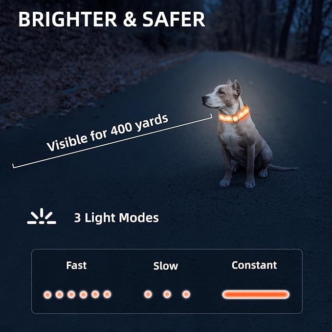Super Bright LED Dog Collar - Fully Waterproof & Adjustable Glow Collar - USB-C Rechargeable for Night Walking, Safety - Flashing Lighted Collar for Dogs(Orange,S)