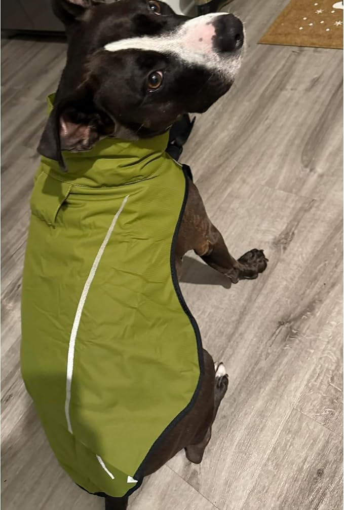 Mile High Life Dog Raincoat, Adjustable Waterproof Reflective Rain Jacket for Small Medium Large Dogs, Lightweight Breathable Pet Rain Coat with Leash Hole(Lime Yellow,S Chest 22-25")